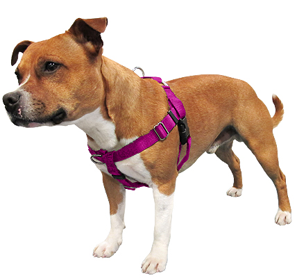 Freedom no clearance pull harness